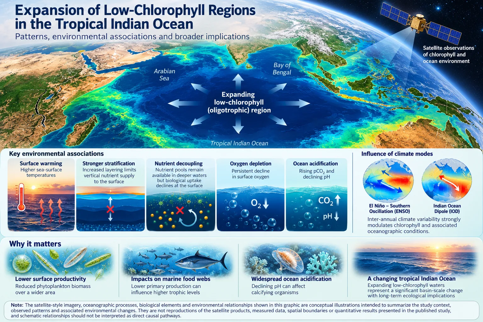 Illustrated map of the Indian Ocean with an expanding low-chlorophyll region, panels on warming, stratification, nutrients, oxygen and acidification, and globes for ENSO and the Indian Ocean Dipole.